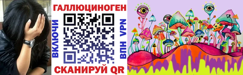 Купить закладки  Нерюнгри  Псилоцибиновые грибы Magic Shrooms 